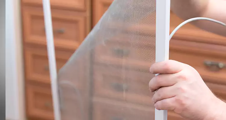 Privacy Mesh Screen Door Installation in Cocoa, FL