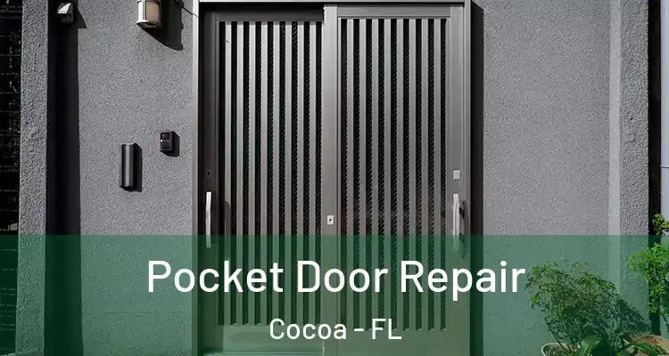 Pocket Door Repair Cocoa - FL